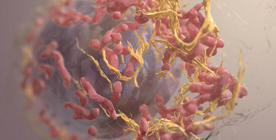 2008 International Science and Engineering Visualization Challenge Winners. 3D Imaging of Mammalian Cells with Ion-Abrasion Scanning Electron Microscopy was awarded an Honorable Mention in Illustration. It shows a melanoma tumour cell, using a new approach for imaging mammalian cells at nanometer resolution. Donald Bliss and Sriram Subramaniam, US National Library of Medicine, made the image. Source: Health Innovations
