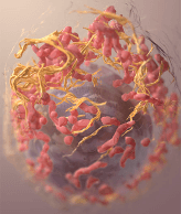3D structure of a melanoma cell Source: Cancer Network
