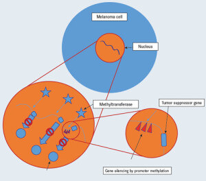 Mechanism of epigenetic tumor