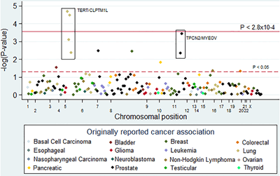 his pleiotropy-colored Manhattan plot shows the ?log(10) p-value for the association between melanoma and SNPs previously associated with other cancers. The solid line denotes the Bonferroni-corrected significance threshold for this analysis (0.05/181 SNPs). Image from the publication. Source: Fred Hutch