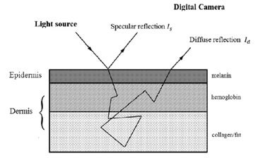 Three-layered skin reflectance model Source: MedicalPhysicsWeb