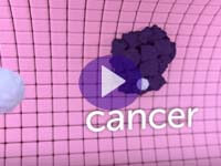 Watch an animation showing how these drugs work Source: Cancer Research UK