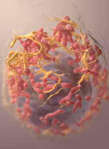 A 3D structure of a melanoma cell. Picture: Sriram Subramaniam, National Cancer Institute, National Institutes of Health